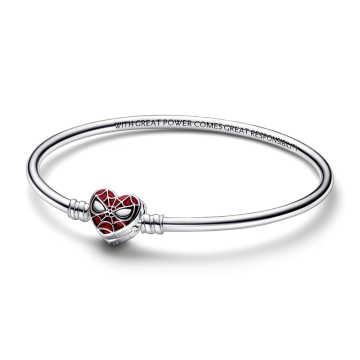 Pulsera rígida con Cierre...