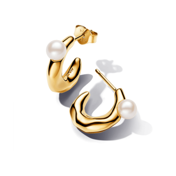 Pendientes de Aro Forma...
