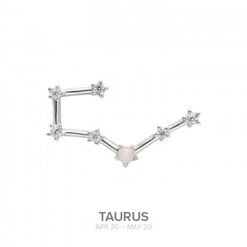Colgante TAURO de plata con...