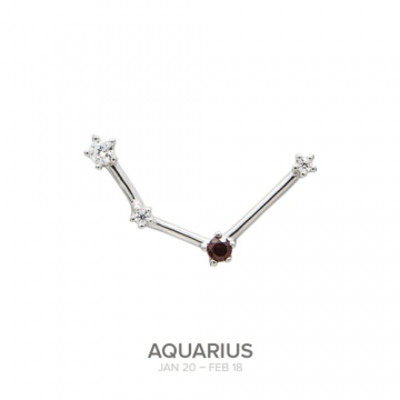Colgante ACUARIO de plata...