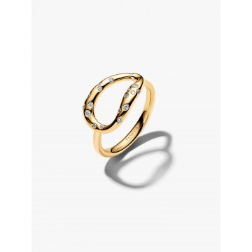 Anillo Forma Orgánica con...