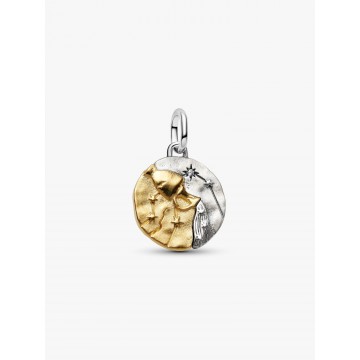 Charm Medallón Zodiaco Acuario
