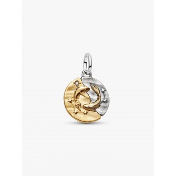 Charm Medallón Zodiaco Piscis