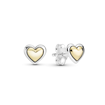 299389C00 Pendientes...
